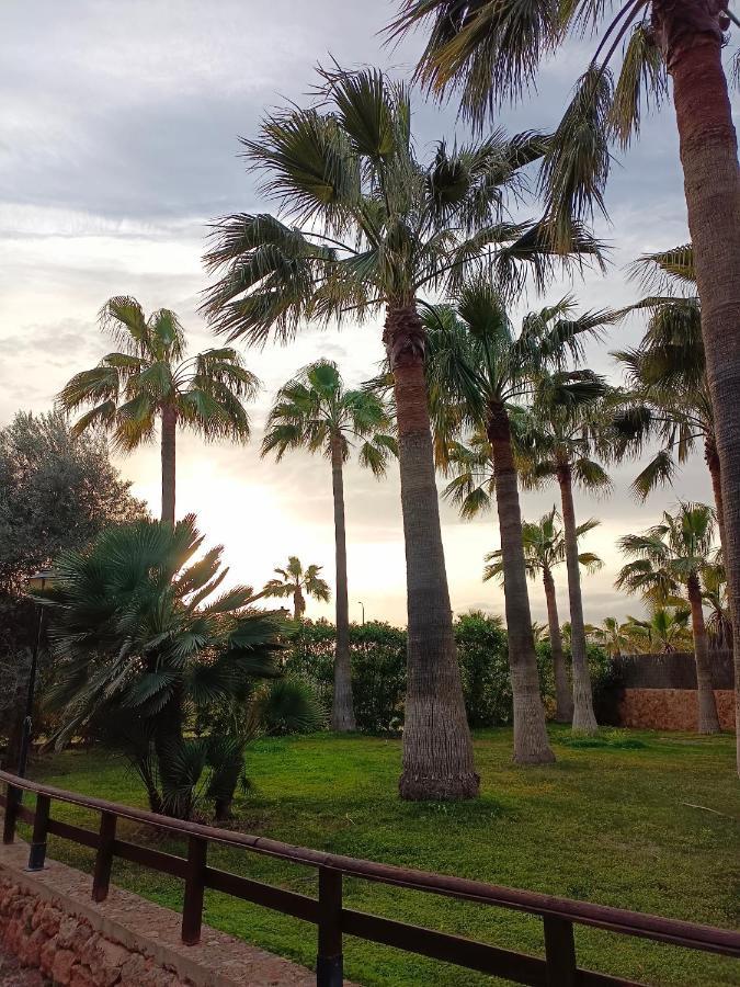Agroturismo Finca Son Amora Palma de Mallorca Exterior photo